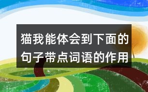 貓我能體會到下面的句子帶點詞語的作用，還能用這些詞語說句子呢。