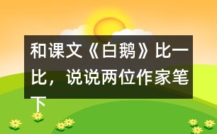 和課文《白鵝》比一比，說說兩位作家筆下的鵝有什么共同點？