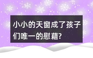 小小的天窗成了孩子們“唯一的慰藉”?找出相關(guān)語句和同學(xué)交流。