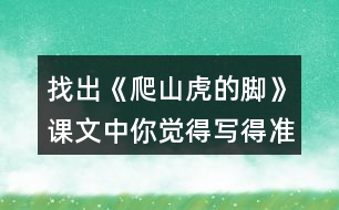 找出《爬山虎的腳》課文中你覺得寫得準(zhǔn)確、形象的句子，抄寫下來。