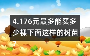 4.176元最多能買多少棵下面這樣的樹(shù)苗？