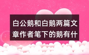 白公鵝和白鵝兩篇文章作者筆下的鵝有什么共同點表達上的相似之處是什么