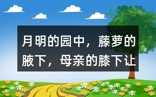 “月明的園中，藤蘿的腋下，母親的膝下”讓你有何感受？