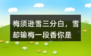 “梅須遜雪三分白，雪卻輸梅一段香”你是如何理解的