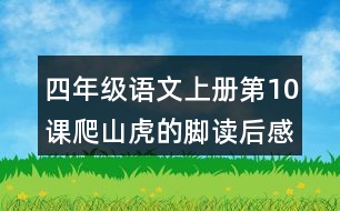 四年級(jí)語(yǔ)文上冊(cè)第10課爬山虎的腳讀后感