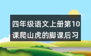 四年級(jí)語文上冊第10課爬山虎的腳課后習(xí)題參考答案