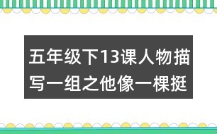 五年級下13課人物描寫一組之他像一棵挺脫的樹重難點復(fù)習(xí)筆記