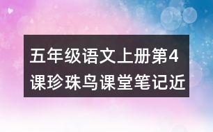 五年級語文上冊第4課珍珠鳥課堂筆記近義詞反義詞