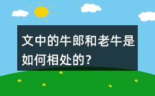 文中的牛郎和老牛是如何相處的？