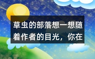 草蟲的部落想一想隨著作者的目光，你在“曹操的部落”看到了什么，印象最深的有哪些？