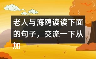 老人與海鷗讀讀下面的句子，交流一下從加點的詞句中體會到了什么，再把句子抄下來。