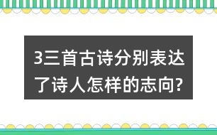 3、三首古詩(shī)分別表達(dá)了詩(shī)人怎樣的志向?表達(dá)的方法有什么共同特點(diǎn)?
