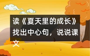 讀《夏天里的成長(zhǎng)》找出中心句，說(shuō)說(shuō)課文是怎樣圍繞這句話來(lái)寫(xiě)的。