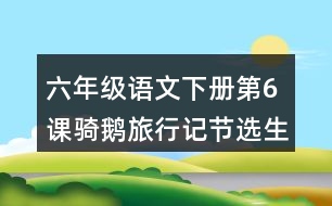 六年級(jí)語文下冊第6課騎鵝旅行記節(jié)選生字注音組詞