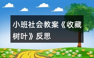 小班社會教案《收藏樹葉》反思