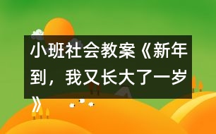 小班社會(huì)教案《新年到，我又長(zhǎng)大了一歲》反思