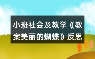 小班社會及教學(xué)《教案美麗的蝴蝶》反思