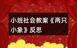 小班社會教案《兩只小象》反思