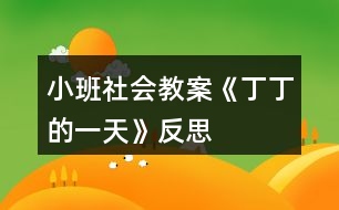 小班社會教案《丁丁的一天》反思