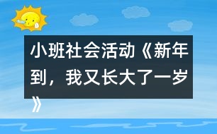 小班社會(huì)活動(dòng)《新年到，我又長(zhǎng)大了一歲》教學(xué)設(shè)計(jì)反思