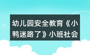 幼兒園安全教育《小鴨迷路了》小班社會安全教案反思