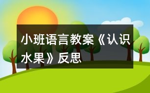 小班語言教案《認識水果》反思