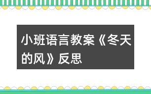 小班語言教案《冬天的風》反思