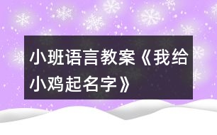 小班語(yǔ)言教案《我給小雞起名字》