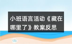 小班語(yǔ)言活動(dòng)《藏在哪里了》教案反思