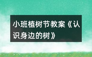 小班植樹節(jié)教案《認識身邊的樹》