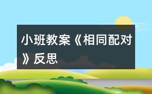 小班教案《相同配對》反思