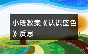 小班教案《認識藍色》反思