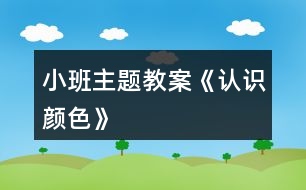 小班主題教案《認(rèn)識顏色》