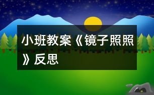 小班教案《鏡子照照》反思