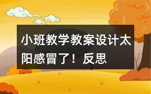小班教學(xué)教案設(shè)計(jì)太陽感冒了！反思