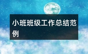 小班班級(jí)工作總結(jié)范例