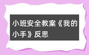 小班安全教案《我的小手》反思