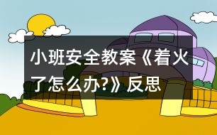 小班安全教案《著火了怎么辦?》反思