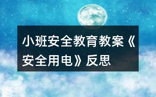 小班安全教育教案《安全用電》反思