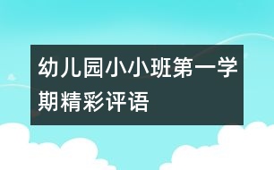 幼兒園小小班第一學(xué)期精彩評(píng)語