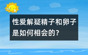 性愛解疑：精子和卵子是如何相會(huì)的？