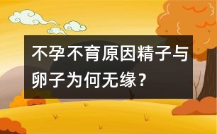不孕不育原因：精子與卵子為何無緣？
