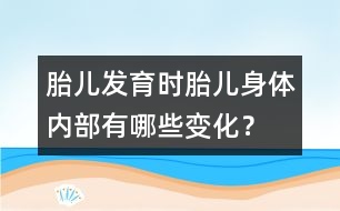 胎兒發(fā)育時：胎兒身體內(nèi)部有哪些變化？