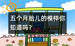 五個(gè)月胎兒的模樣你知道嗎？