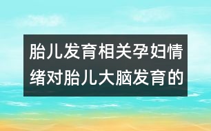 胎兒發(fā)育相關(guān)：孕婦情緒對(duì)胎兒大腦發(fā)育的影響