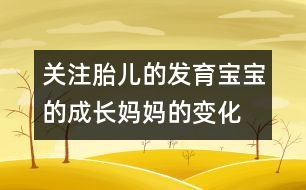關注胎兒的發(fā)育：寶寶的成長、媽媽的變化