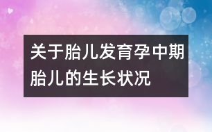 關(guān)于胎兒發(fā)育：孕中期胎兒的生長狀況