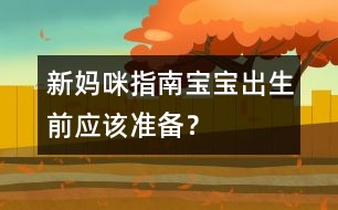 新媽咪指南：寶寶出生前應(yīng)該準(zhǔn)備？