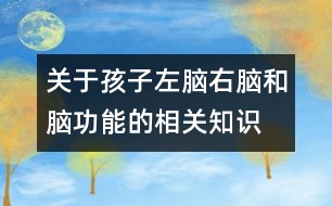 關(guān)于孩子左腦、右腦和腦功能的相關(guān)知識(shí)