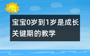 寶寶0歲到1歲是成長(zhǎng)關(guān)鍵期的教學(xué)